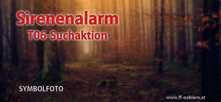 Sirenenalarm Suchaktion